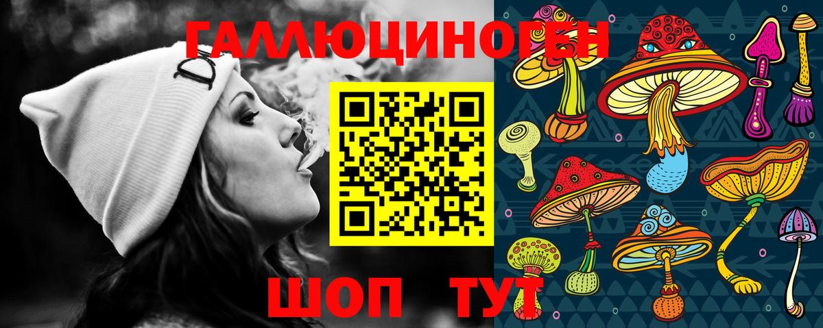 Псилоцибиновые грибы GOLDEN TEACHER  Вход с VPN  Вышний Волочёк 