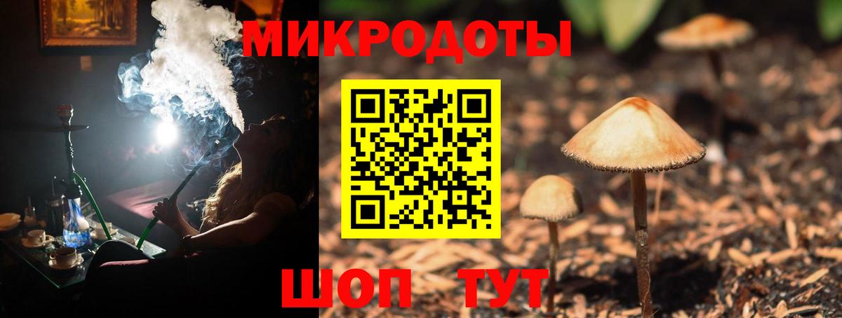 Галлюциногенные грибы Cubensis Вышний Волочёк